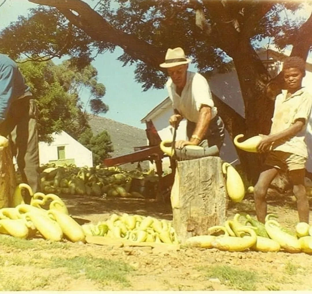 Genuine Edwardian Natural GOURD Calabash BLOCK Meerschaum Pipe with silver CPW2